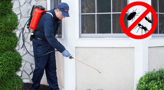 Kadışehri Kene İlaçlama böcek ilaçlama ve haşere kontrolü — ilaclama-tr.com